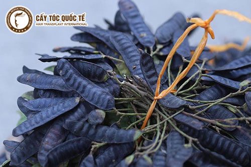 Thảo dược thiên nhiên cũng có thể ngăn ngừa hói di truyền hiệu quả 