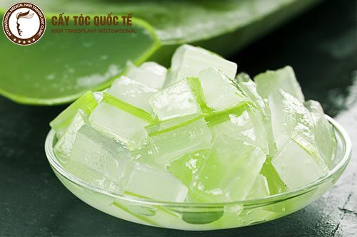 Trị hói đầu tại nhà bằng nha đam Trị hói đầu tại nhà bằng nha đam