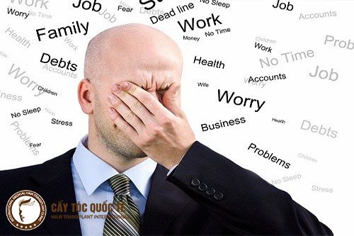 Tâm lý bất ổn , stress nhiều cũng là nguyên nhân hói đầu ở nam giới Tâm lý bất ổn , stress nhiều cũng là nguyên nhân hói đầu ở nam giới