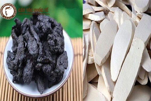 Bài thuốc này giúp bổ máu, an hần rất tốt cho người bị hói đầu Bài thuốc này giúp bổ máu, an hần rất tốt cho người bị hói đầu