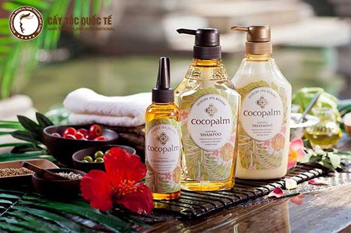 Dầu gội chiết xuất tự nhiên cũng giúp các mẹ bầu chăm sóc tóc rất tốt Dầu gội chiết xuất tự nhiên cũng giúp các mẹ bầu chăm sóc tóc rất tốt
