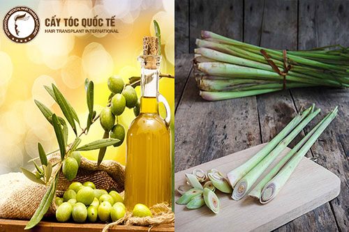 Sử dụng thảo dược tự nhiên để kích thích mọc tóc Sử dụng thảo dược tự nhiên để kích thích mọc tóc