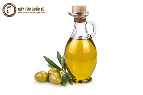 Tình dâu oliu rất tốt cho chăm sóc tóc da đầu Tình dâu oliu rất tốt cho chăm sóc tóc da đầu